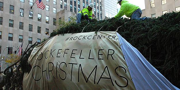 Rockefeller Center Christmas Tree 2016 arriving on Rockefeller Plaza, New York, 12.11.2016 photo: Michael Hammers Studios-Florian Kick